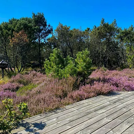Cozy Summer House With A Large Natural Plot Vakantiehuis *